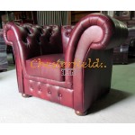 Chesterfield XL Windchester Sessel Antikrot 