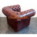 Classic  XL Antikrot Chesterfield Sessel