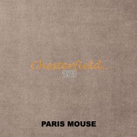 Paris Mouse