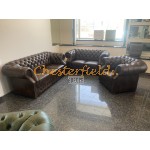 Windsor 321 Antik Mittelbraun Chesterfield Garnitur A5M